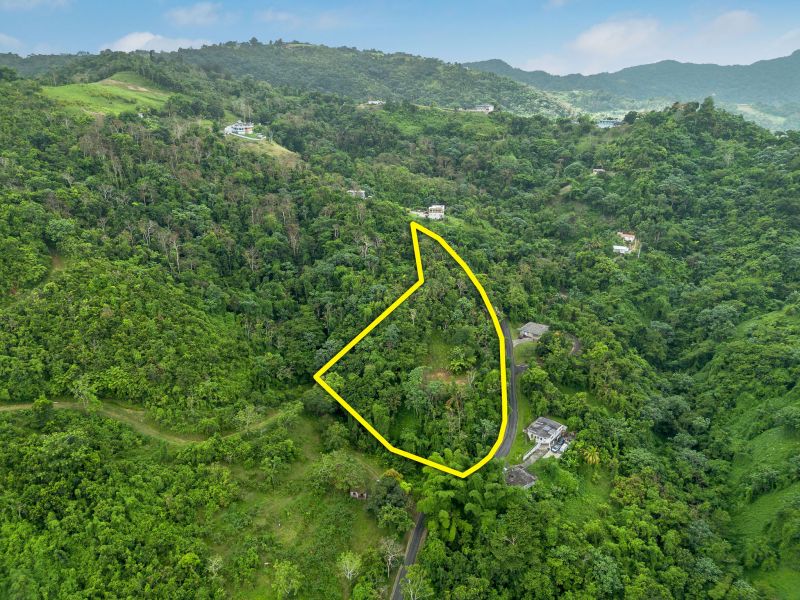 Bo Borinquen Sector Lajita Carr 765 Km 3.5 Caguas 00725 PR