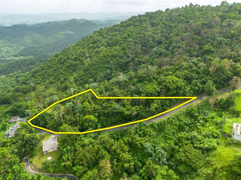 Bo Borinquen Sector Lajita Carr 765 Km 3.5 Caguas 00725 PR