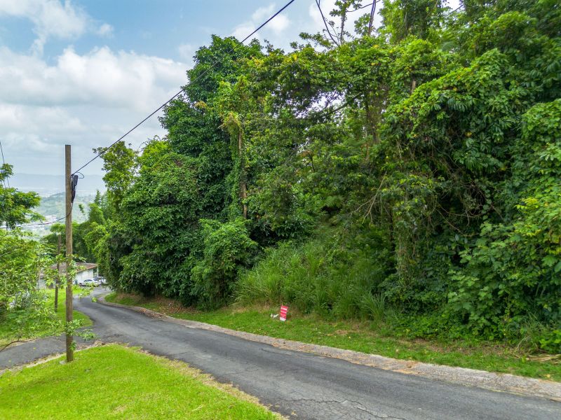 Bo Borinquen Sector Lajita Carr 765 Km 3.5 Caguas 00725 PR