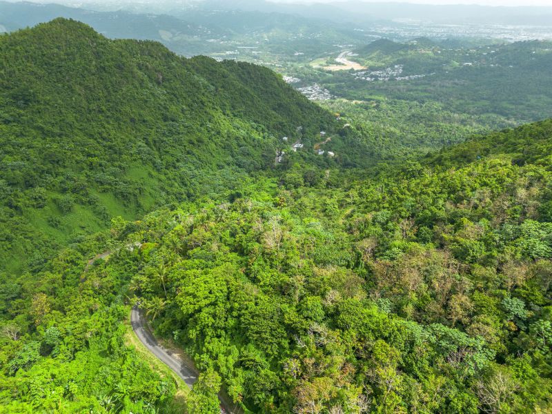 Bo Borinquen Sector Lajita Carr 765 Km 3.5 Caguas 00725 PR