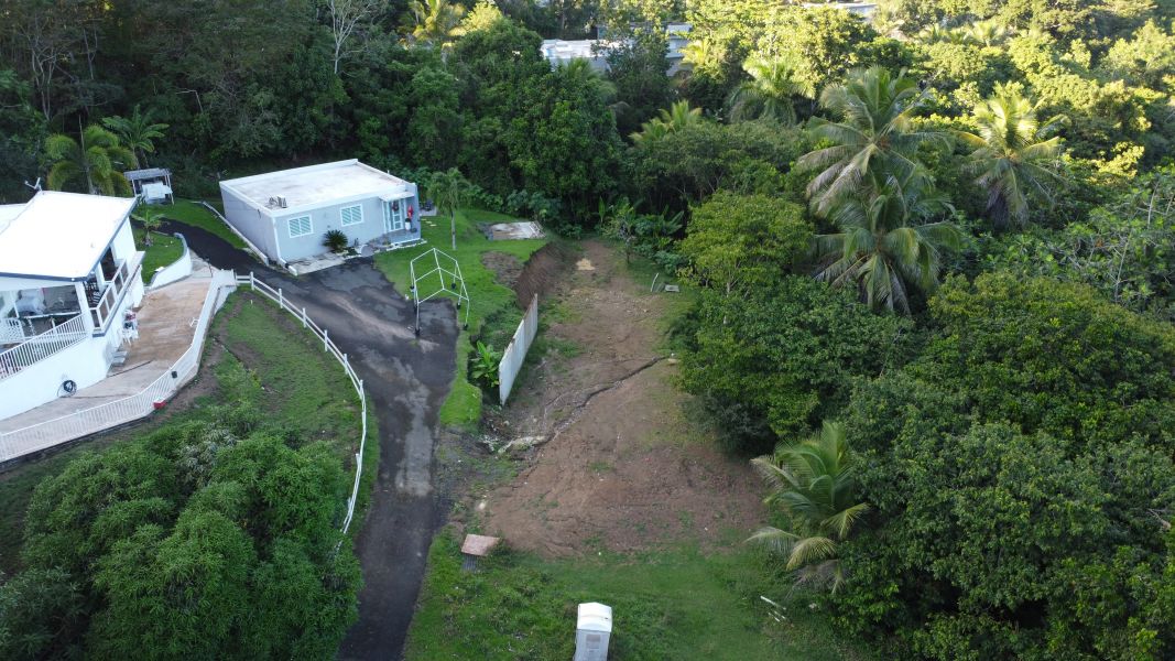 Bo Cerro Gordo Carr 830 Bayamon 00956 PR