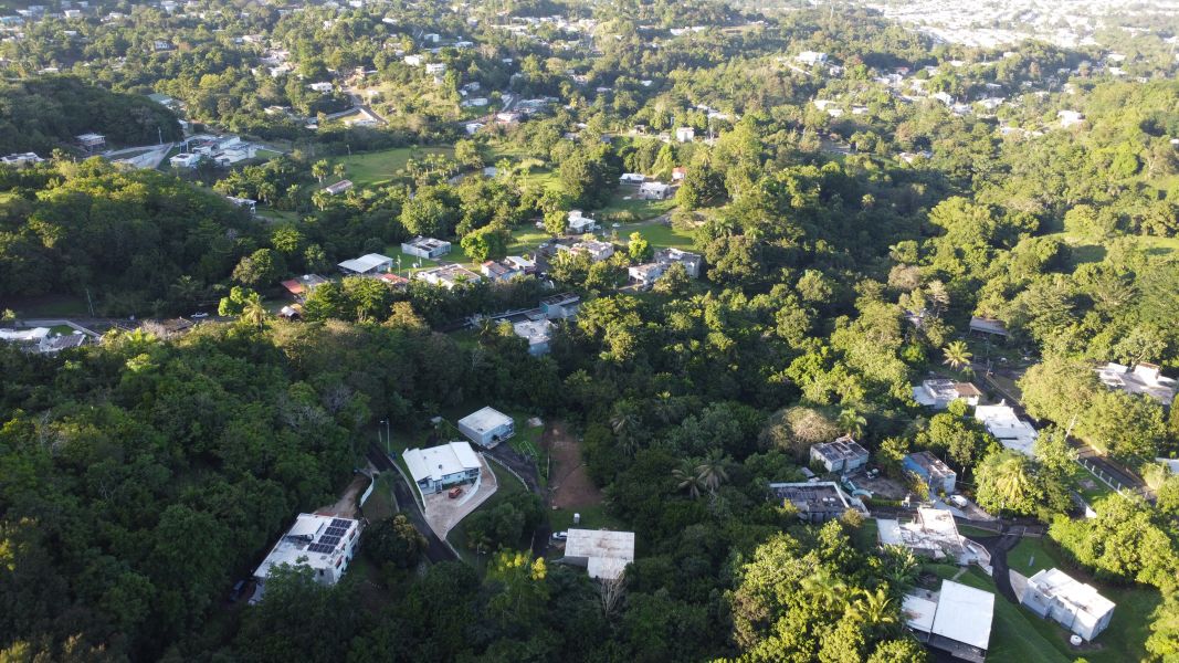 Bo Cerro Gordo Carr 830 Bayamon 00956 PR