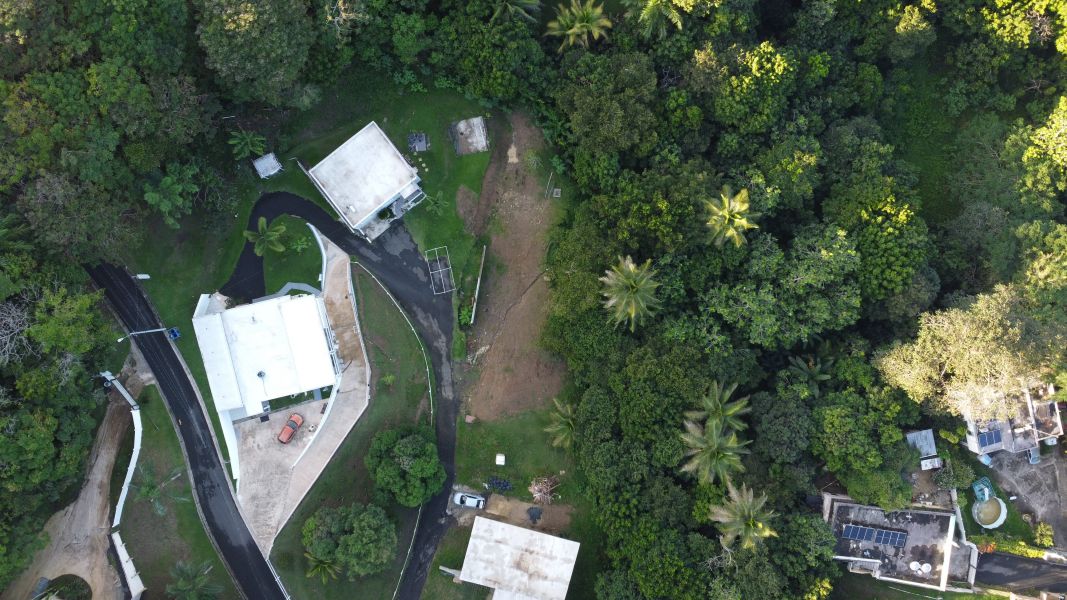 Bo Cerro Gordo Carr 830 Bayamon 00956 PR