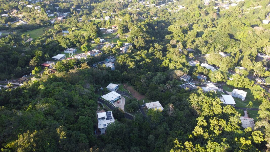 Bo Cerro Gordo Carr 830 Bayamon 00956 PR