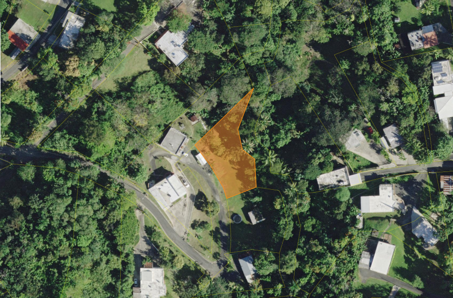 Bo Cerro Gordo Carr 830 Bayamon 00956 PR