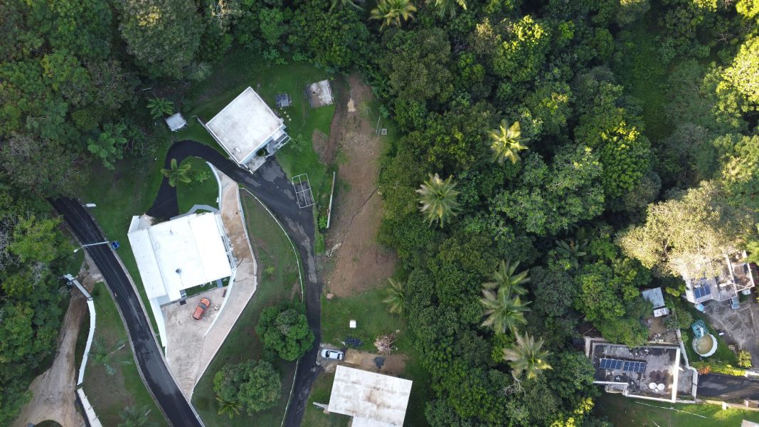 Bo Cerro Gordo Carr 830 Bayamon 00956 PR