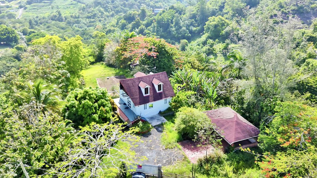 Km 2.0 Bo Rabanal Carr 173 Rural 7775, Cidra - 1