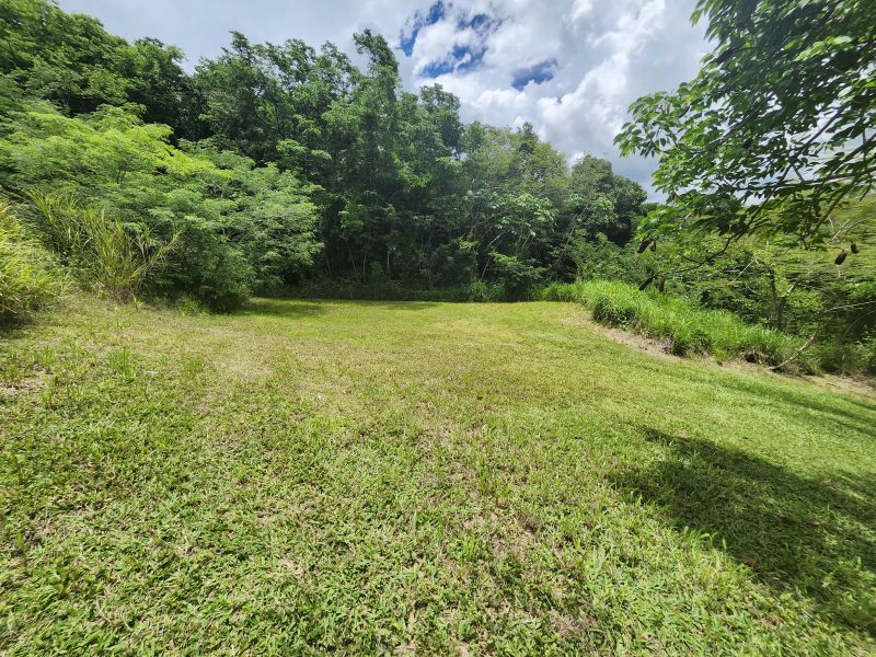 Bo Minillas Alto 4 Camino Flor Millan San German 00683 PR