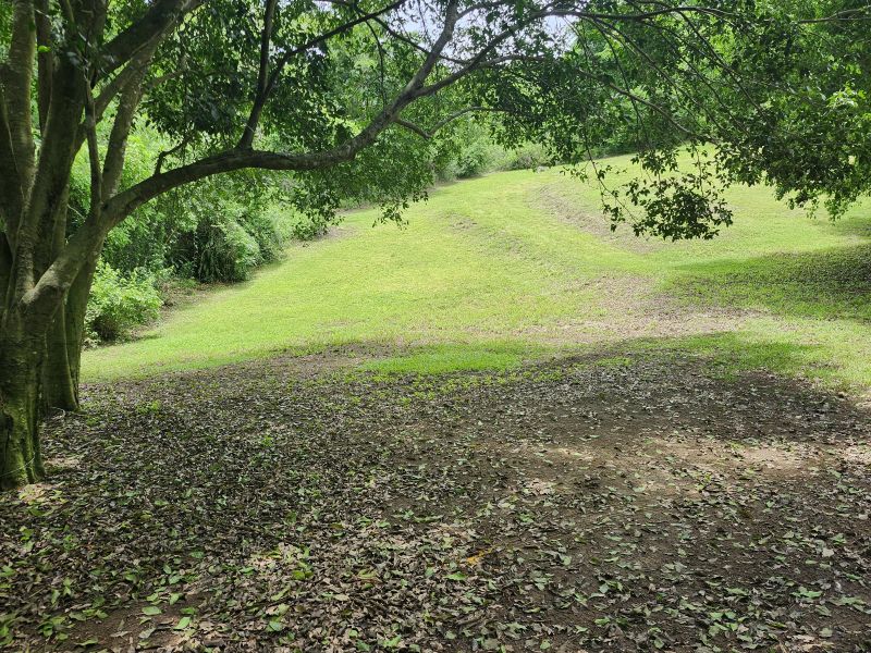 Bo Minillas Alto 4 Camino Flor Millan San German 00683 PR