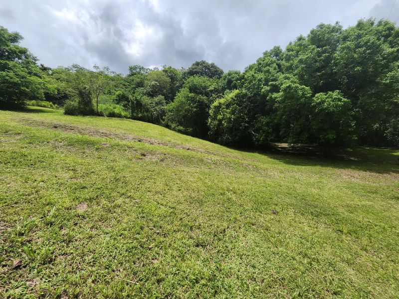 Bo Minillas Alto 4 Camino Flor Millan San German 00683 PR