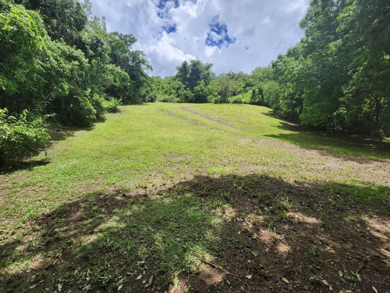 Bo Minillas Alto 4 Camino Flor Millan San German 00683 PR