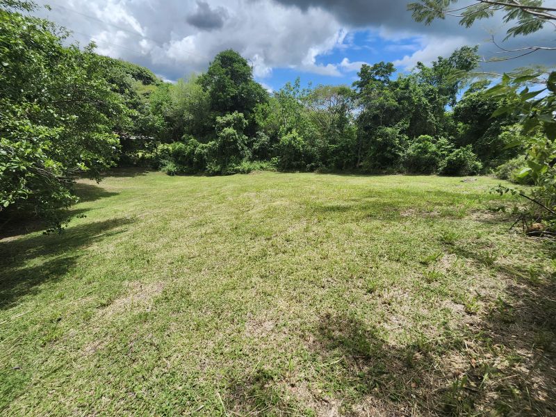 Bo Minillas Alto 4 Camino Flor Millan San German 00683 PR