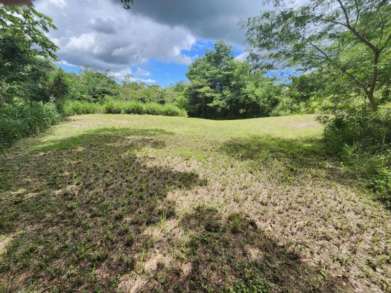 Bo Minillas Alto 4 Camino Flor Millan San German 00683 PR