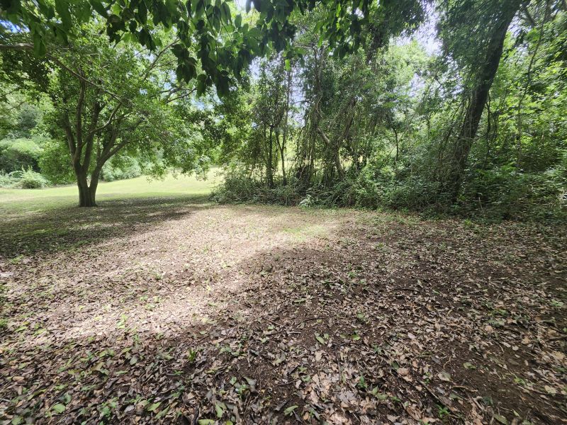 Bo Minillas Alto 4 Camino Flor Millan San German 00683 PR