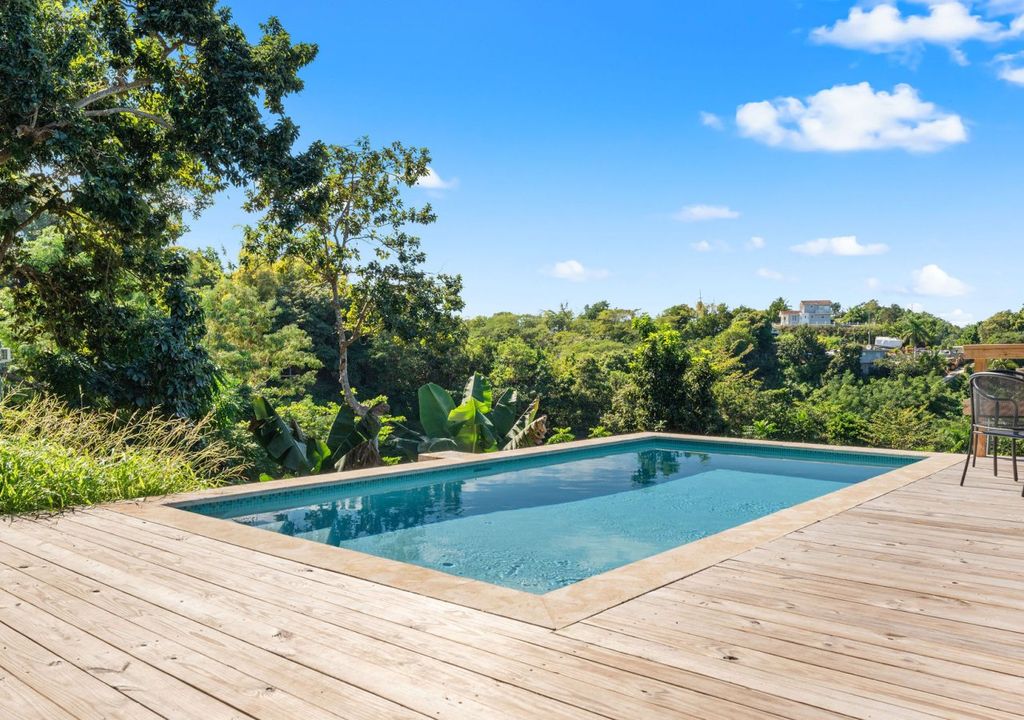 Bo Rio Grande-sector Pedro Rosado Rincon 00677 PR