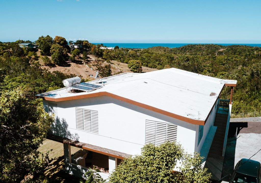 Bo Rio Grande-sector Pedro Rosado Rincon 00677 PR