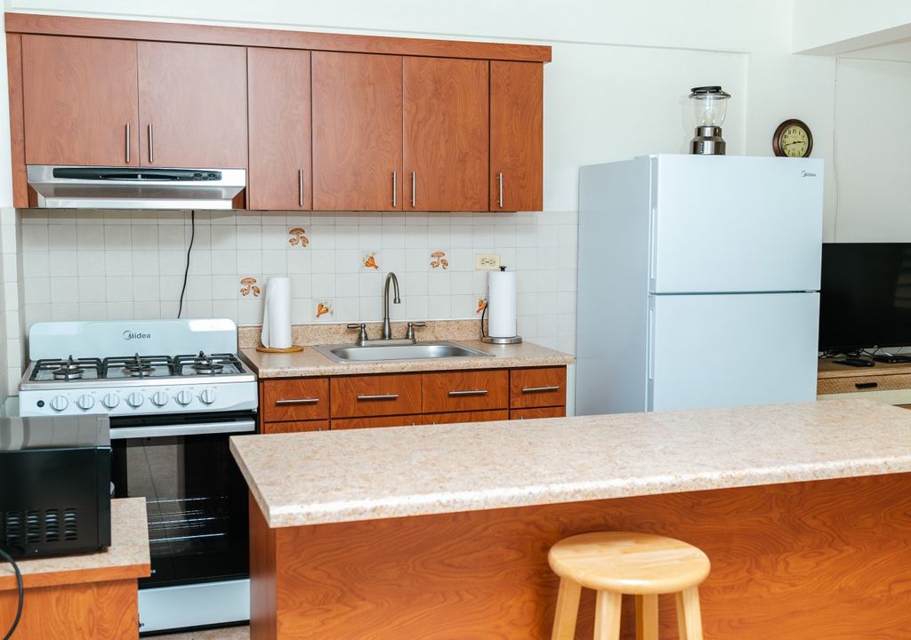 Bo Rio Grande-sector Pedro Rosado Rincon 00677 PR