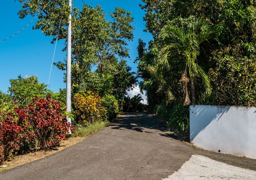 Bo Rio Grande-sector Pedro Rosado Rincon 00677 PR