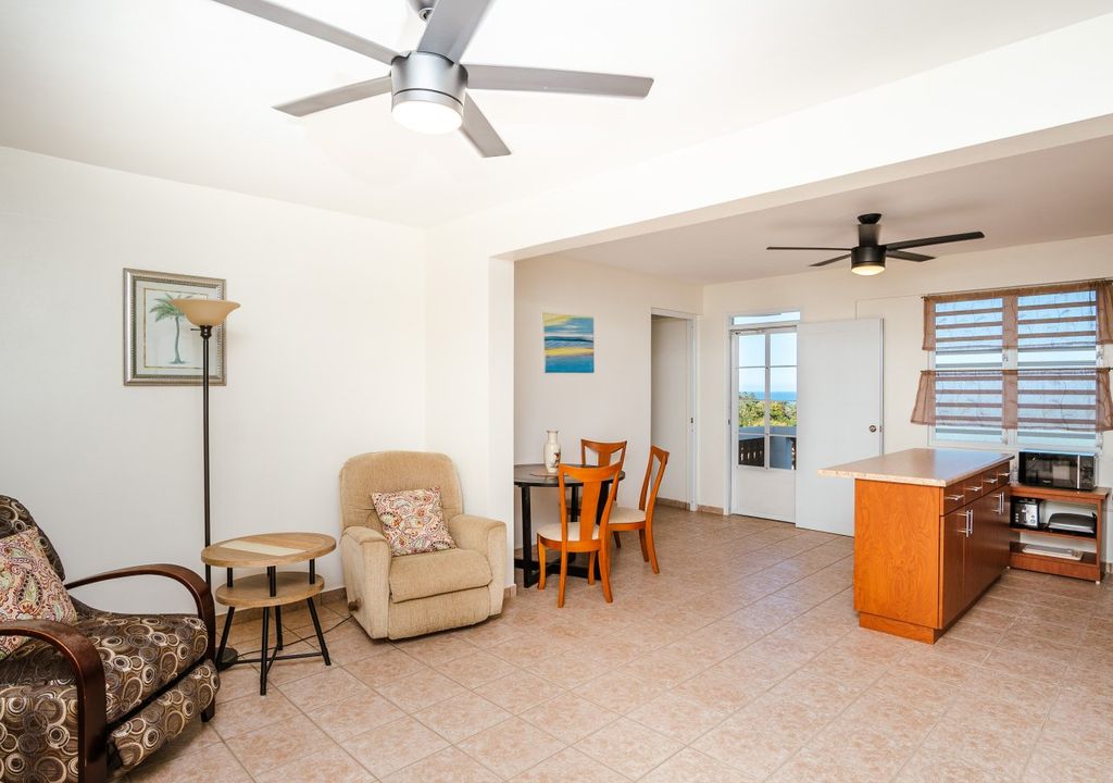 Bo Rio Grande-sector Pedro Rosado Rincon 00677 PR