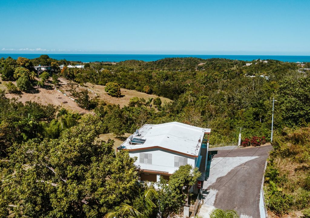 Bo Rio Grande-sector Pedro Rosado Rincon 00677 PR