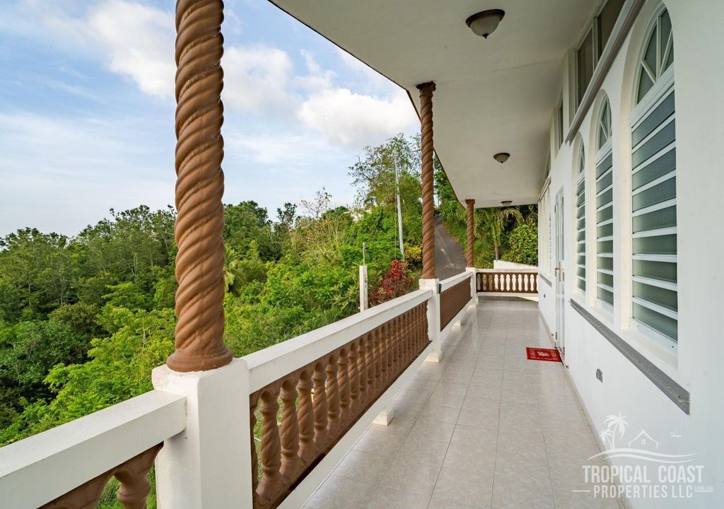 Bo Rio Grande-sector Pedro Rosado Rincon 00677 PR