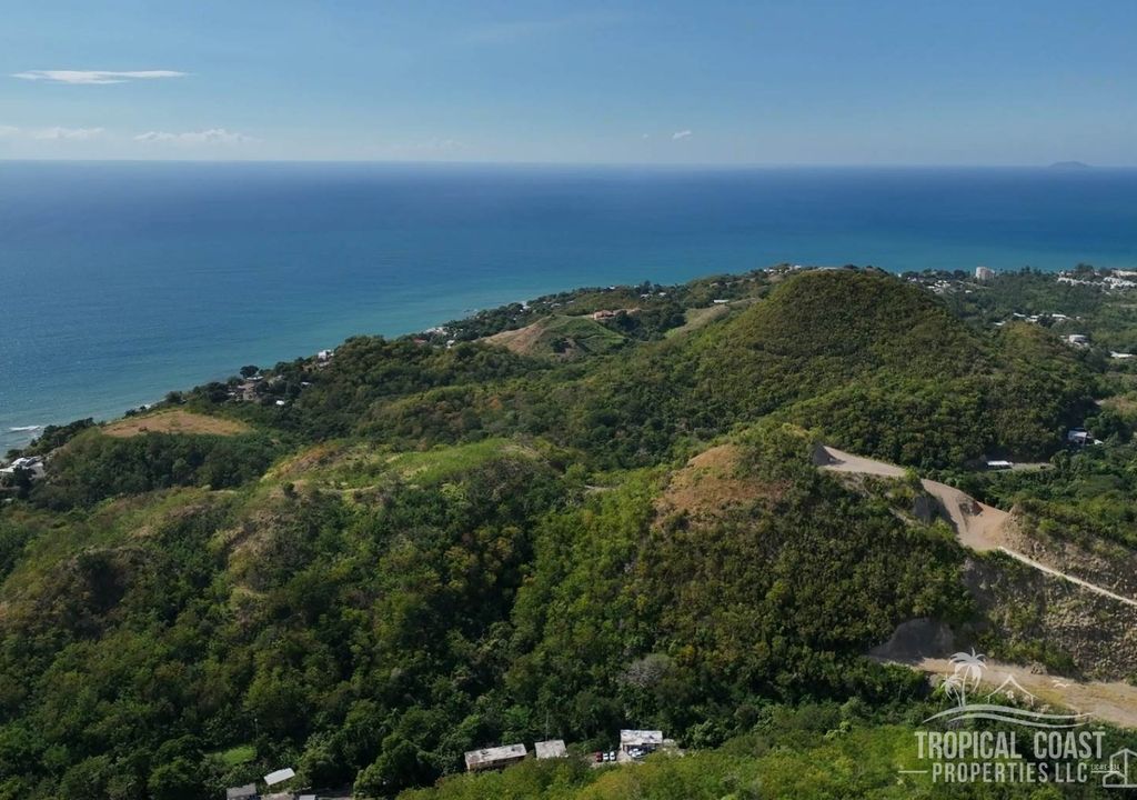 Bo Caguabo- Carretera 115 Km 7 Int Anasco 00610 PR