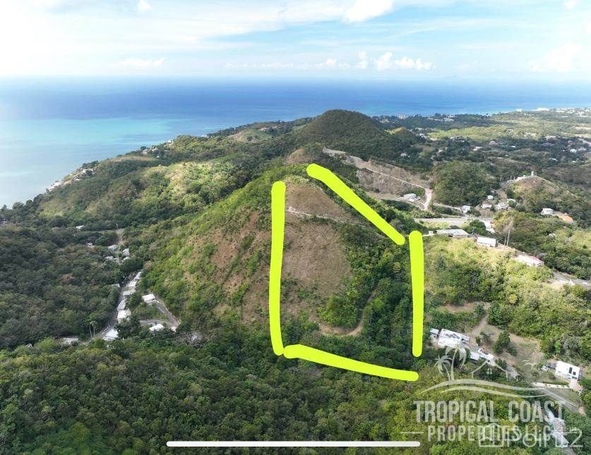 Bo Caguabo- Carretera 115 Km 7 Int Anasco 00610 PR