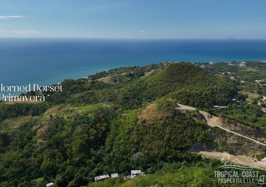 Bo Caguabo- Carretera 115 Km 7 Int Anasco 00610 PR