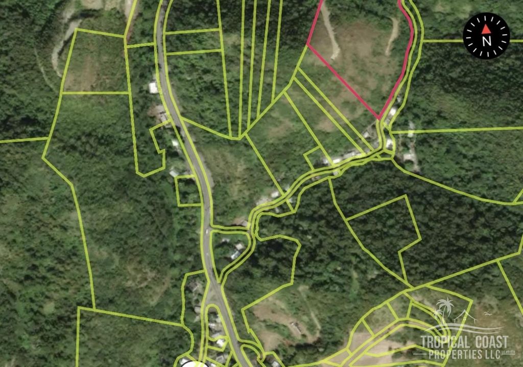 Bo Caguabo- Carretera 115 Km 7 Int Anasco 00610 PR