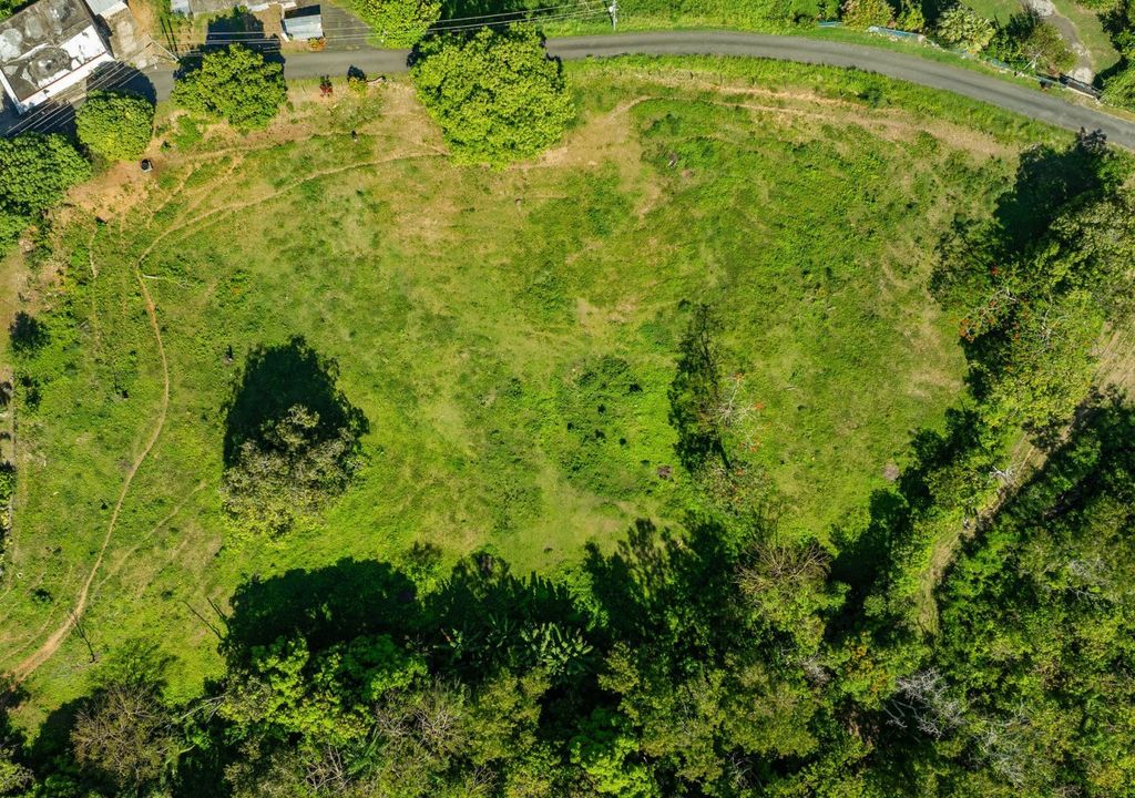 Bo Rio Grande- Carr 115 16.4- Solar A Rincon 00677 PR