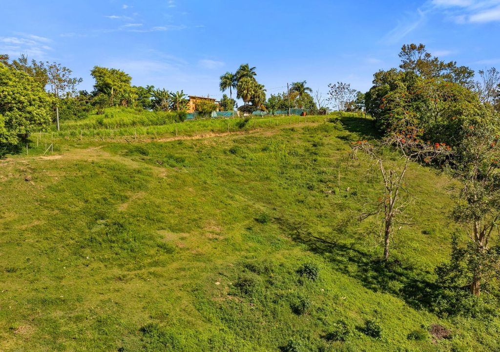 Bo Rio Grande- Carr 115 16.4- Solar A Rincon 00677 PR