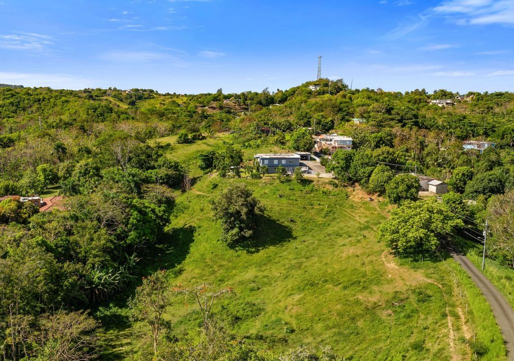 Bo Rio Grande- Carr 115 16.4- Solar A Rincon 00677 PR