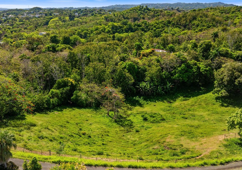 Bo Rio Grande- Carr 115 16.4- Solar A Rincon 00677 PR