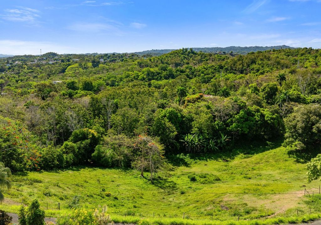 Bo Rio Grande- Carr 115 16.4- Solar A Rincon 00677 PR