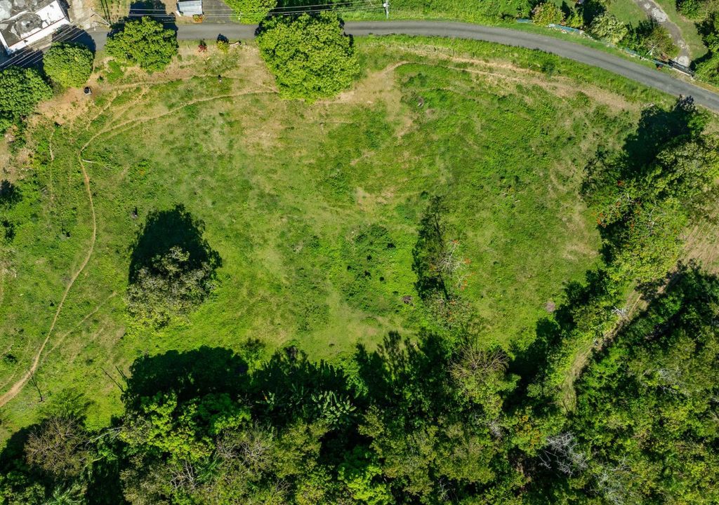 Bo Rio Grande- Carr 115 16.4- Solar A Rincon 00677 PR