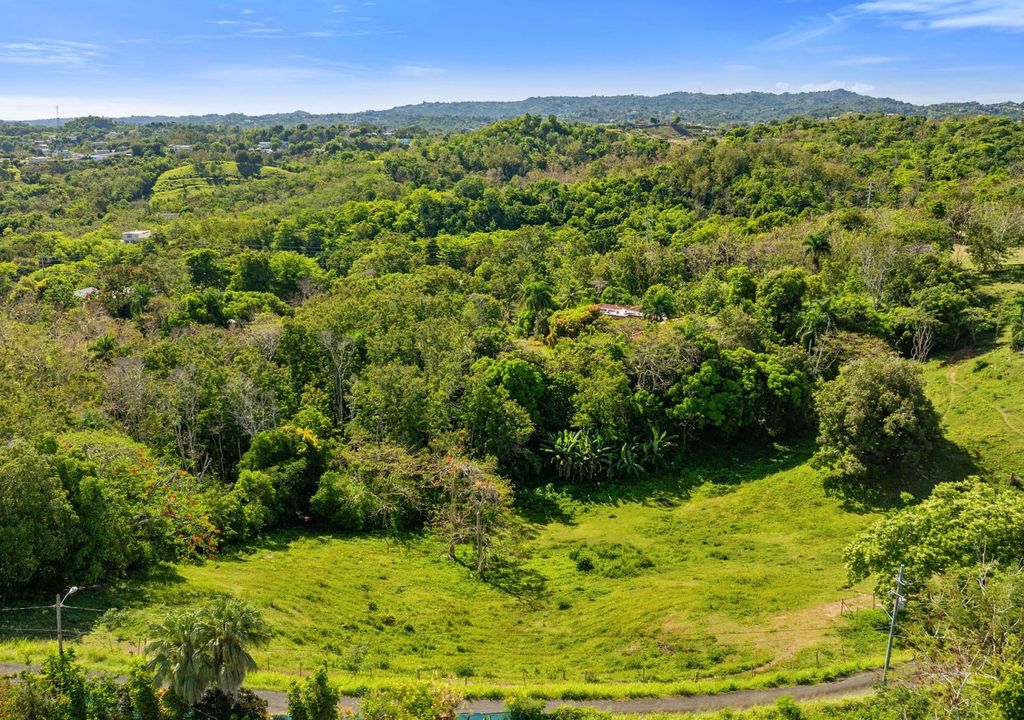 Bo Rio Grande- Carr 115 16.4- Solar A Rincon 00677 PR