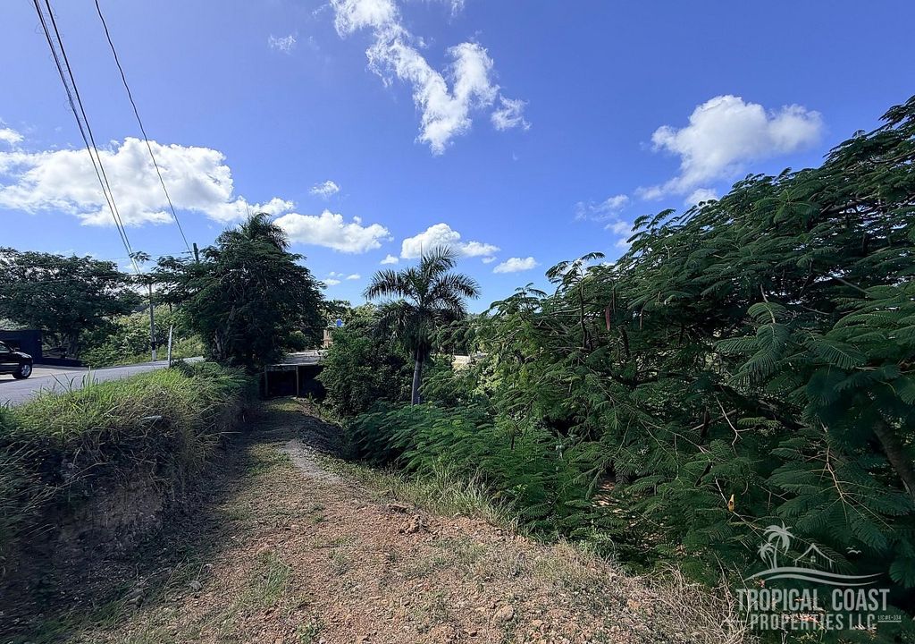 Bo Cruces- Carr 4412 Km 2.8 Aguada 00602 PR