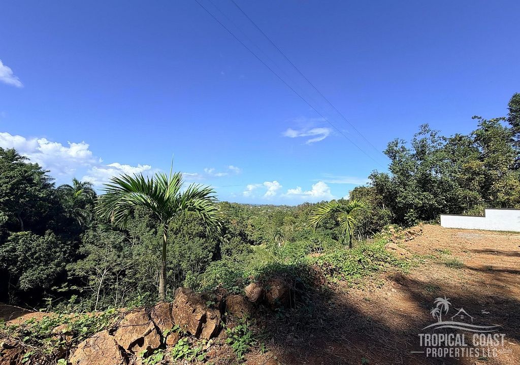 Bo Cruces- Carr 4412 Km 2.8 Aguada 00602 PR