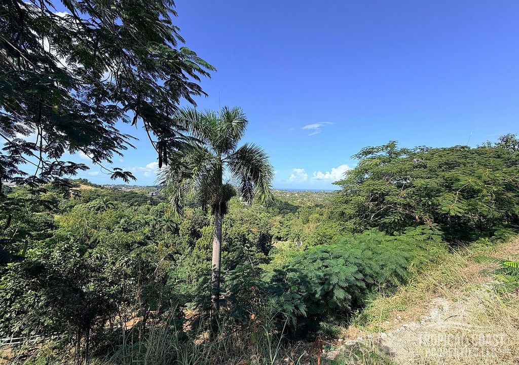 Bo Cruces- Carr 4412 Km 2.8 Aguada 00602 PR
