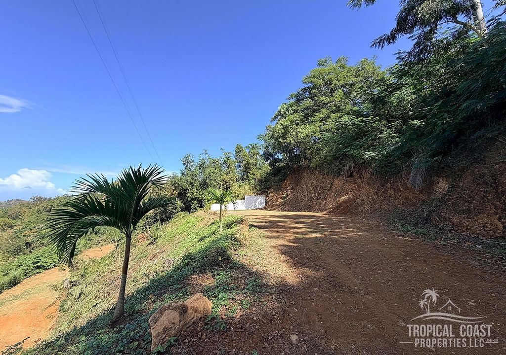 Bo Cruces- Carr 4412 Km 2.8 Aguada 00602 PR