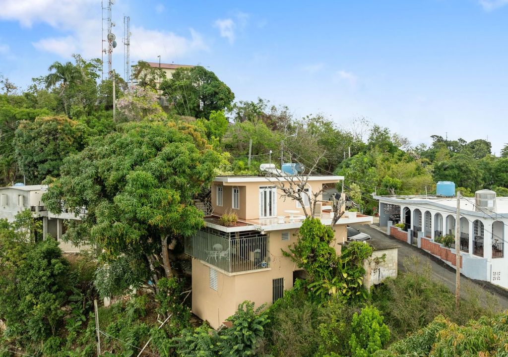 Bo Atalaya- Carr 411 K5 H5 Sect La Bandera Rincon 00677 PR