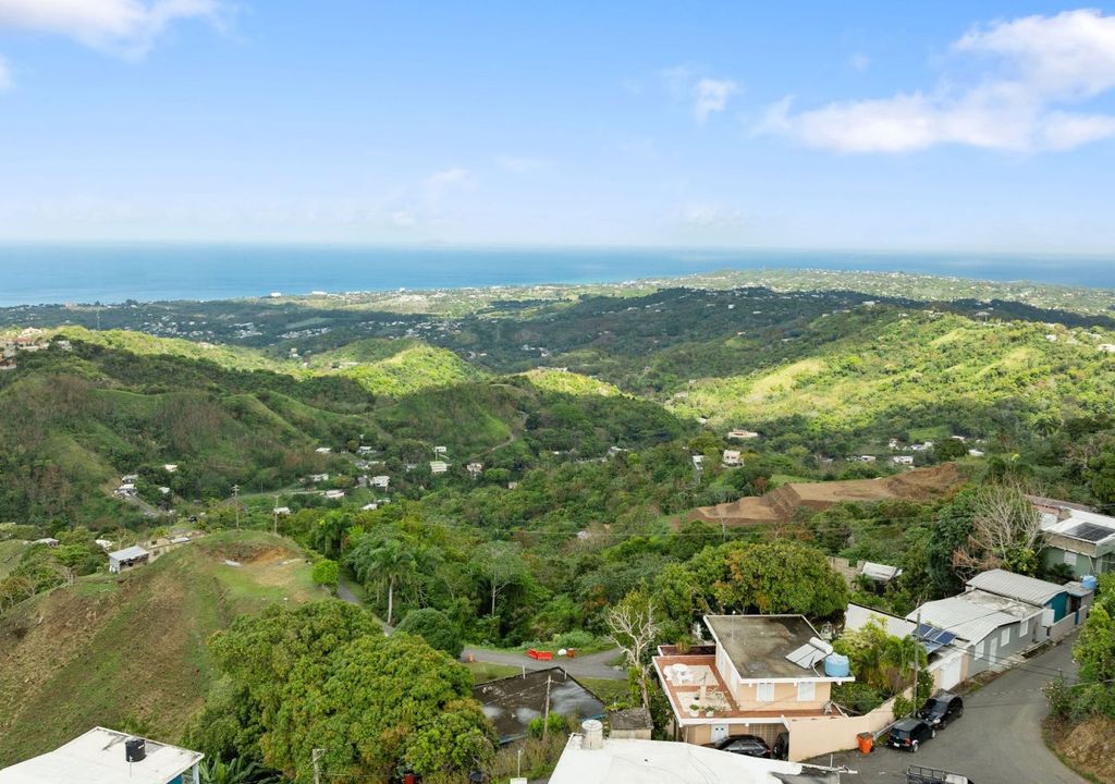 Bo Atalaya- Carr 411 K5 H5 Sect La Bandera Rincon 00677 PR