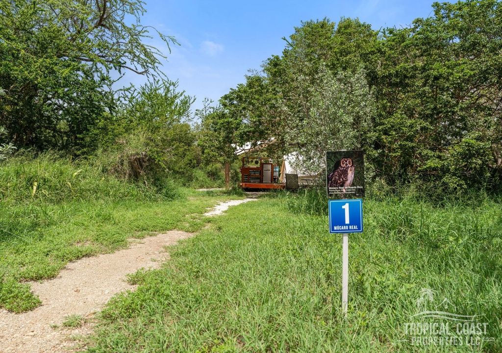 Bo Piyahaya- Carr 303 Km 11.3- Pitahaya Glamping Cabo Rojo 00622 PR