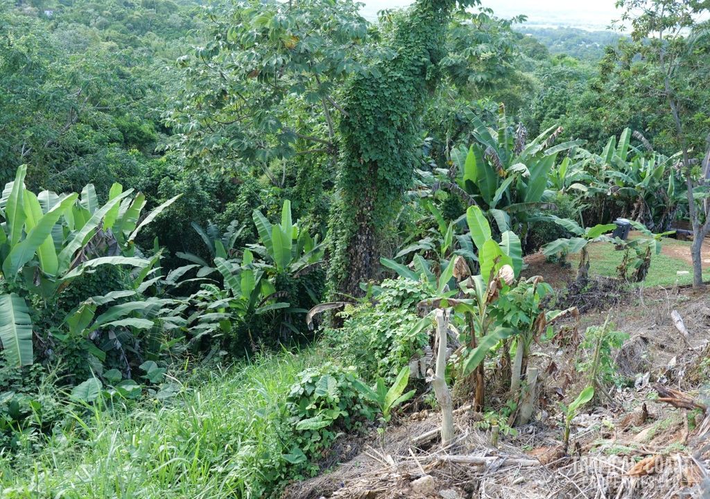 Bo Leguizamo- Carr 352 Km 9.2 Mayaguez 00683 PR