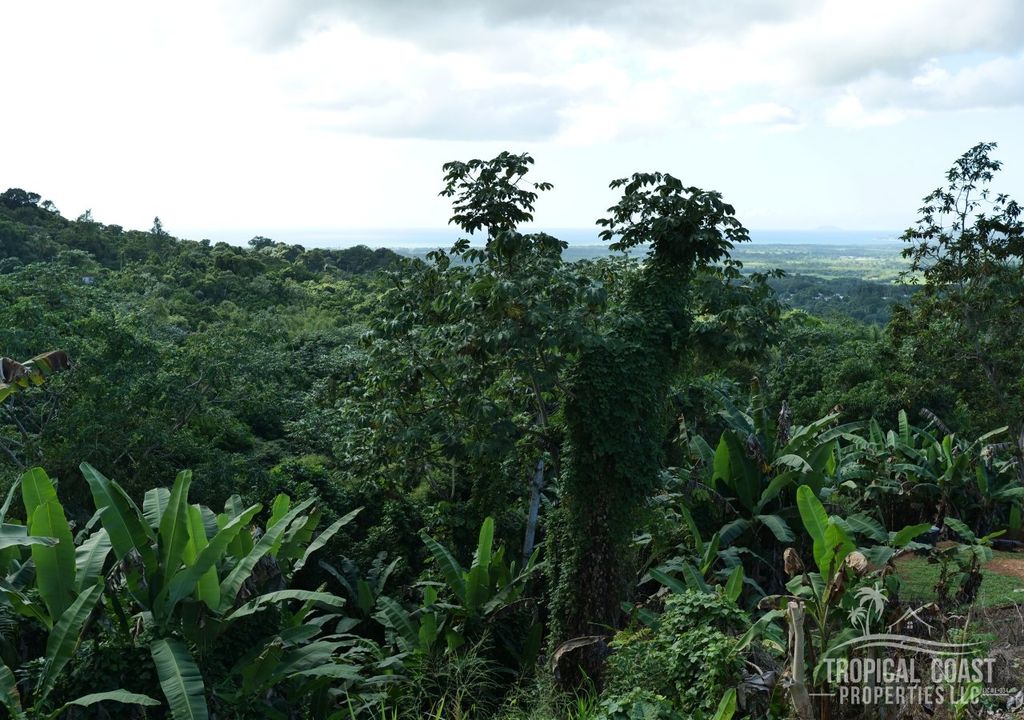 Bo Leguizamo- Carr 352 Km 9.2 Mayaguez 00683 PR