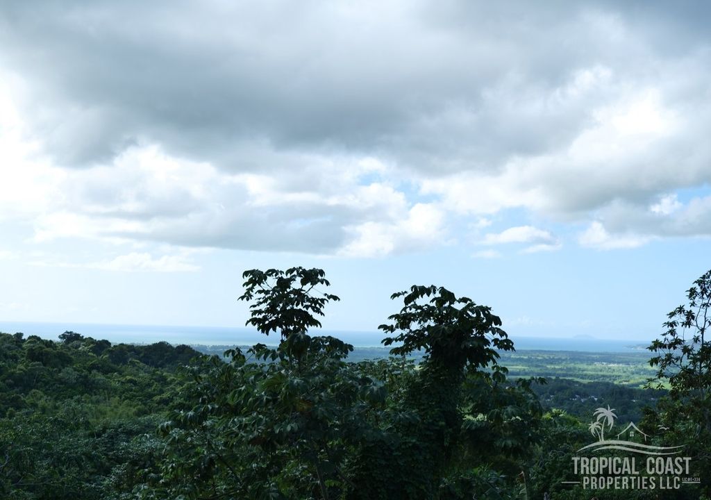 Bo Leguizamo- Carr 352 Km 9.2 Mayaguez 00683 PR