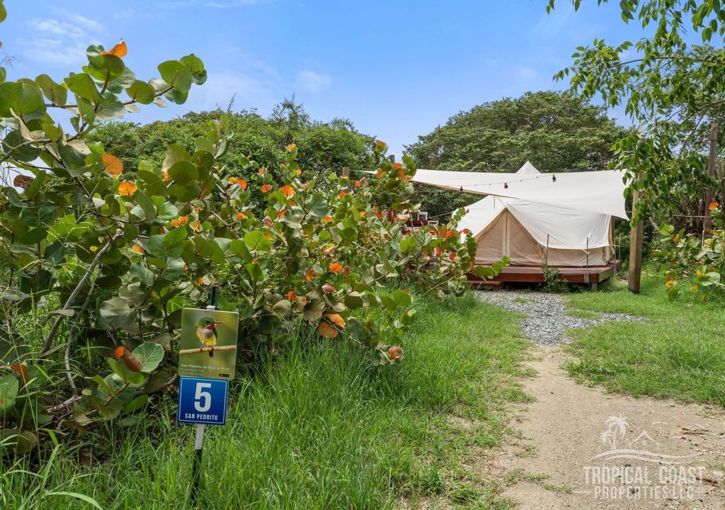 Bo Pitahaya- Carr 303 Km 11.3 Cabo Rojo 00623 PR