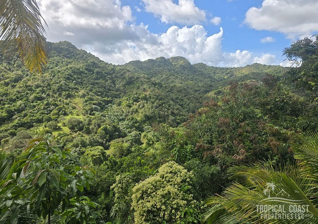 Carr 153, Km 12.0 Sector Pedro García Ward, Coamo Coamo 00769 PR