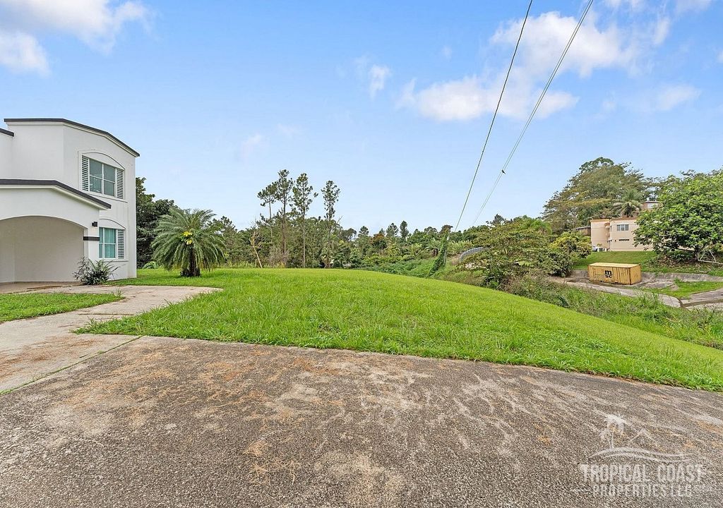 #4, Urb. Brisas Del Bosque Cayey 00736 PR