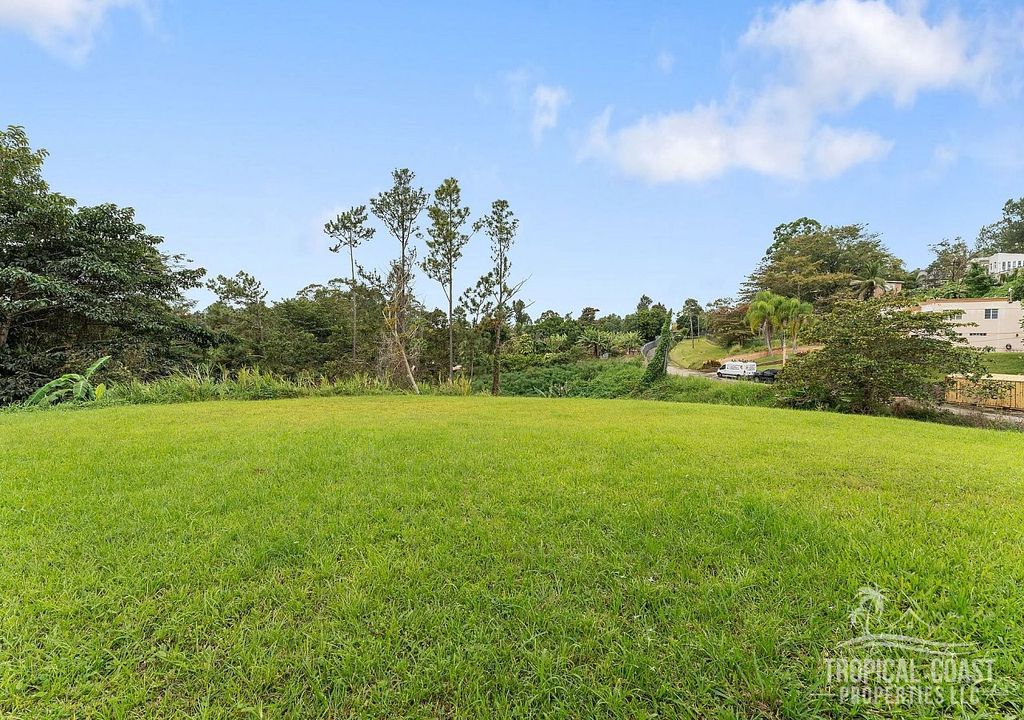 #4, Urb. Brisas Del Bosque Cayey 00736 PR